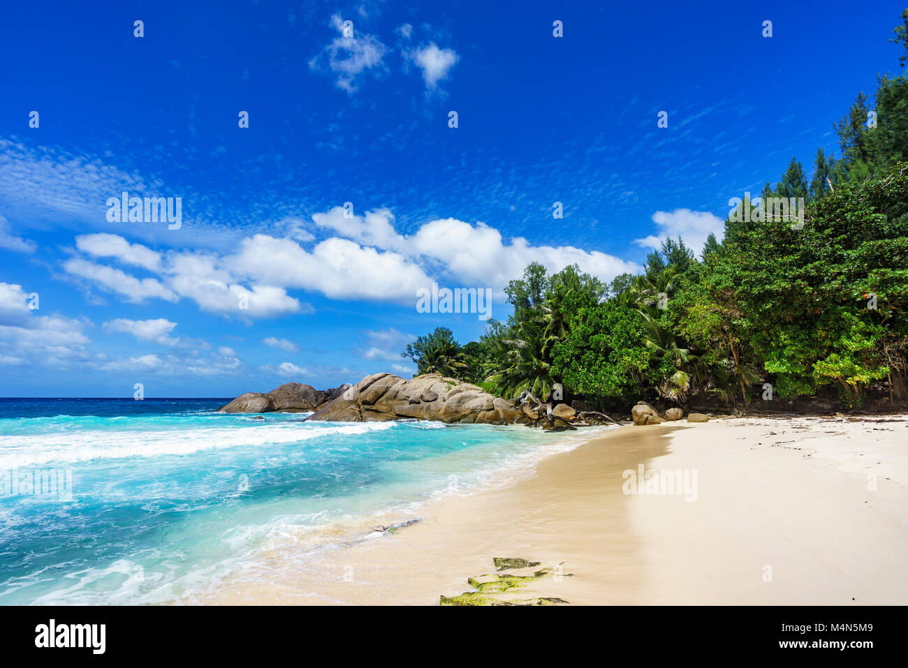 Schönes Paradies Tropischer Strand mit Palmen, weisser Sand, Felsen und türkisem Wasser, Polizei Bay, Mahé, Seychellen Stockfoto