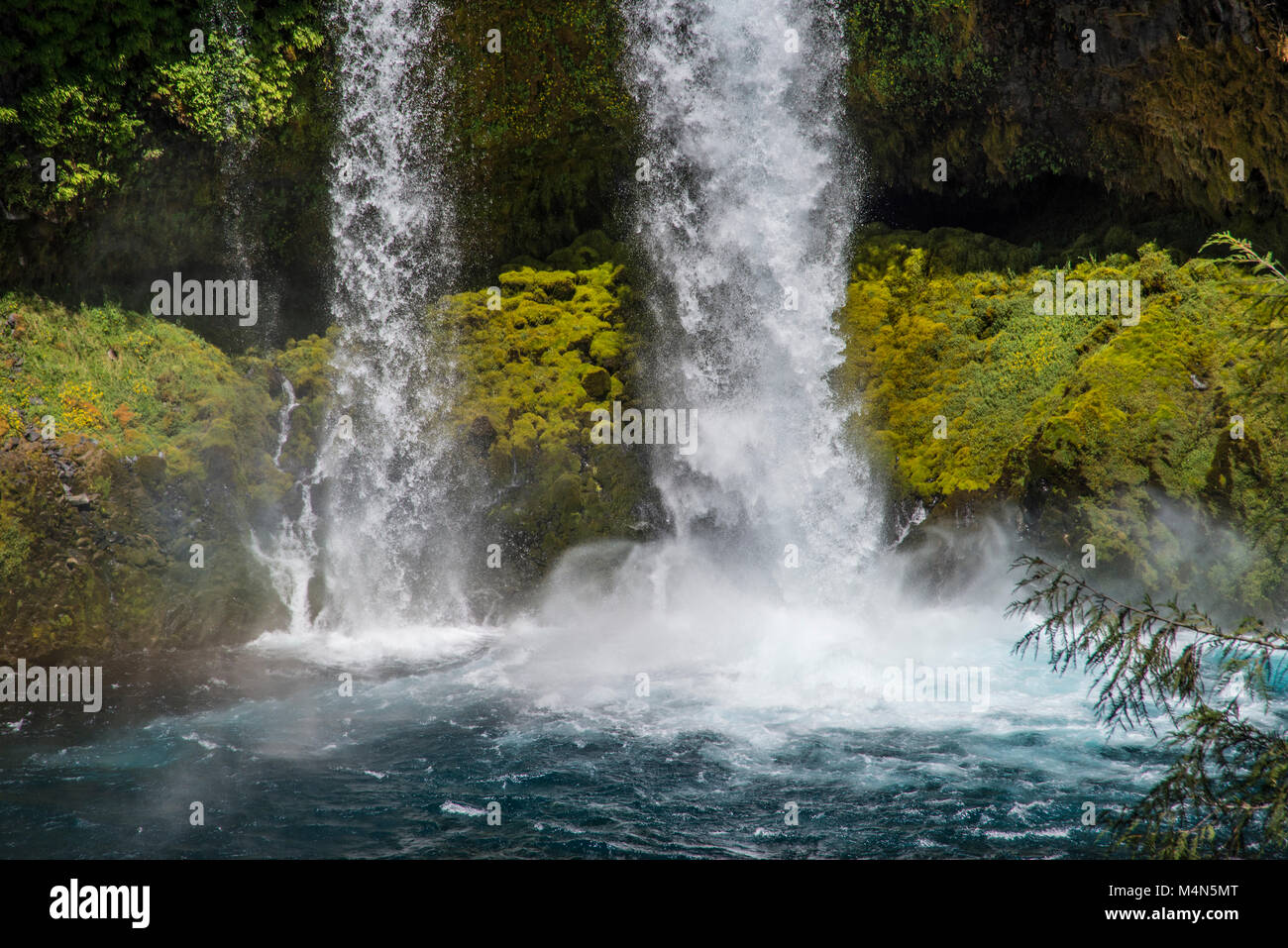 Koosah fällt auf die McKenzie River in Oregon Stockfoto