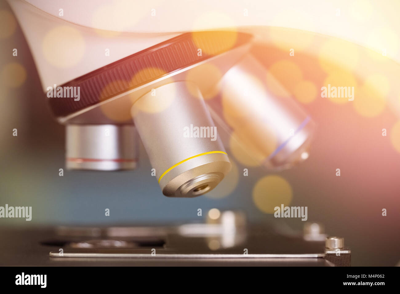 Hautnah am Mikroskop im Labor Stockfoto