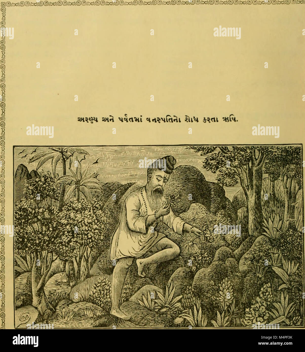 Botanik - eine komplette und umfassende Berücksichtigung der Flora von barda Berg (Kathiawad) (1910) (14800952783) Stockfoto