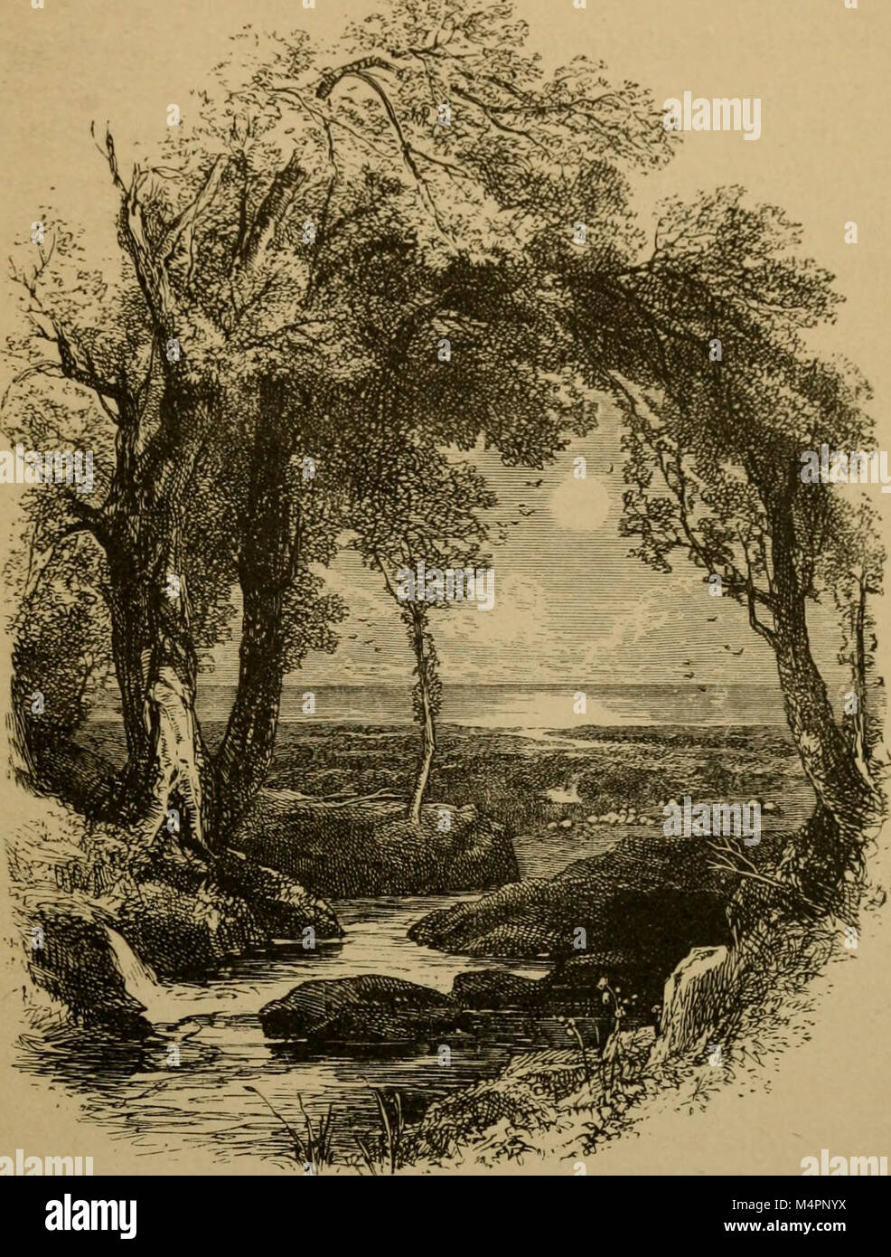 Bryant. Gedichte aus den Werken von William Cullen Bryant (1884) (14598210988) Stockfoto