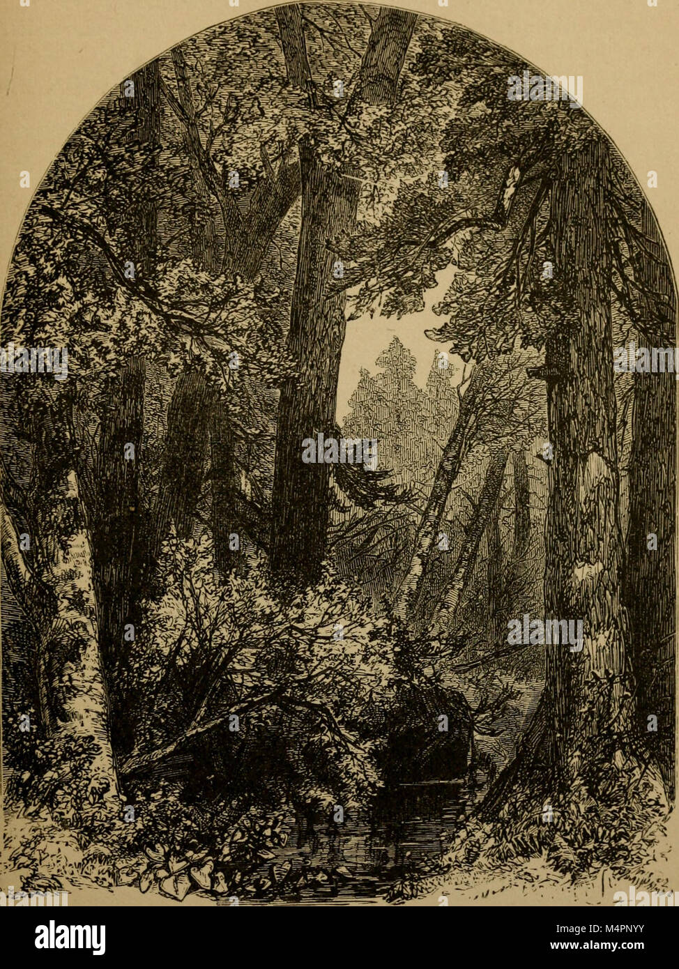 Bryant. Gedichte aus den Werken von William Cullen Bryant (1884) (14598217978) Stockfoto