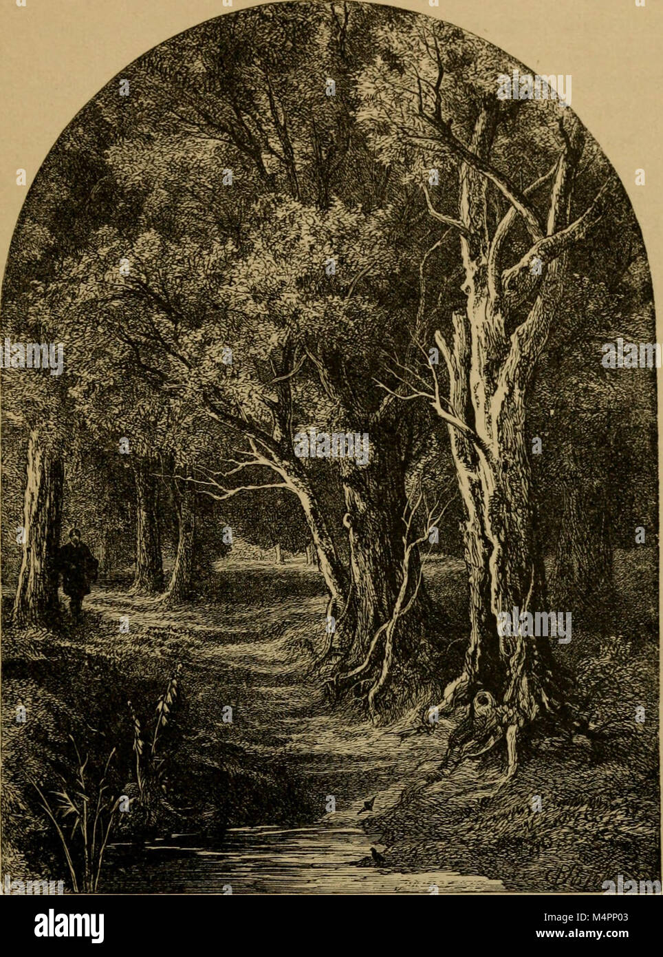 Bryant. Gedichte aus den Werken von William Cullen Bryant (1884) (14781704021) Stockfoto