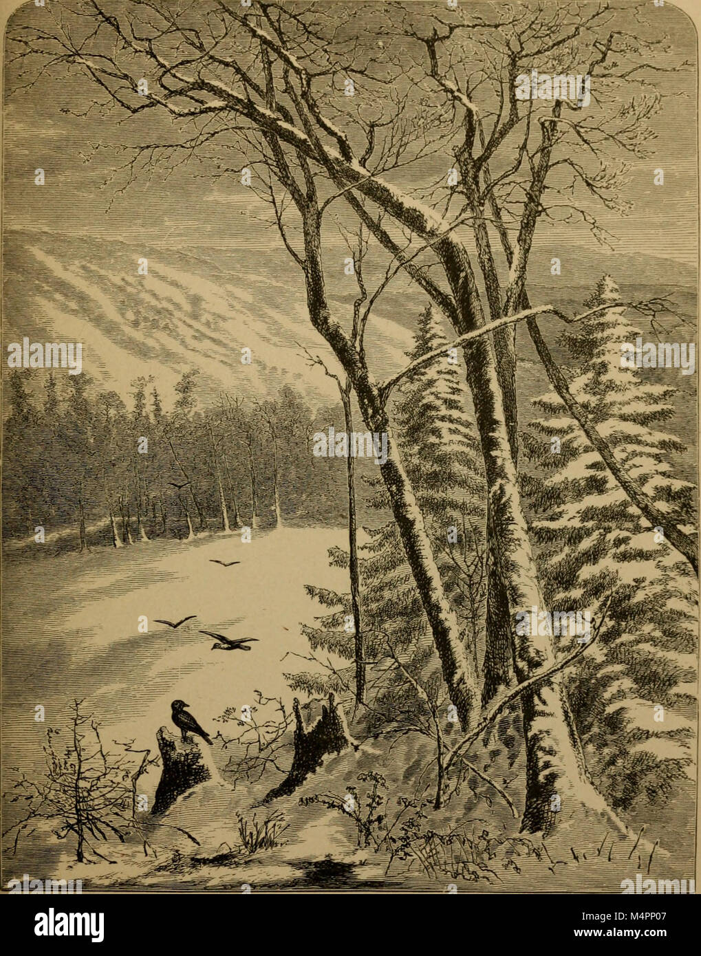 Bryant. Gedichte aus den Werken von William Cullen Bryant (1884) (14784857825) Stockfoto