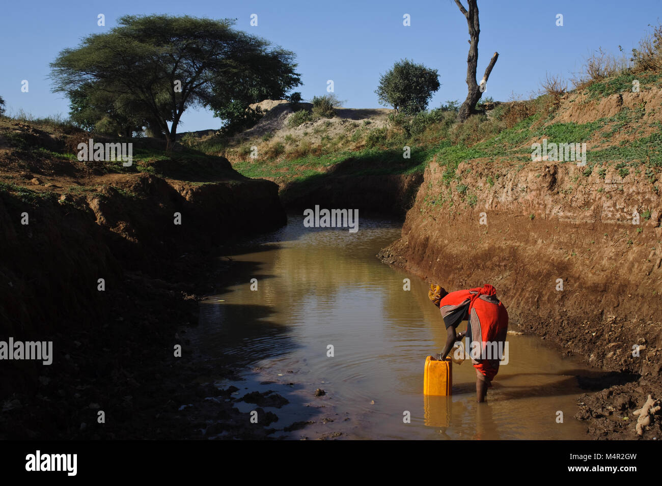 Frau Wasser holen in einem Teich (Äthiopien). Sie gehört zu den Borana Stamm. Stockfoto