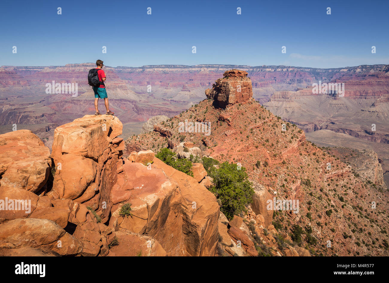 Ein junger männlicher Wanderer steht auf einem Felsen am South Kaibab Trail genießen Sie den herrlichen Blick auf den berühmten Grand Canyon an einem sonnigen Tag, Arizona, USA Stockfoto