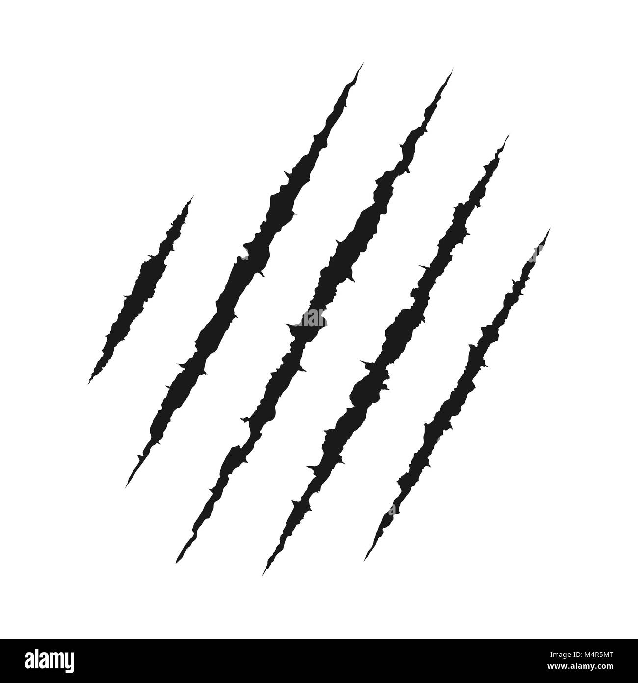 Krallen Tier kratzen. zerrissenes Papier. Verkratzte Oberfläche. Vector Illustration Stock Vektor