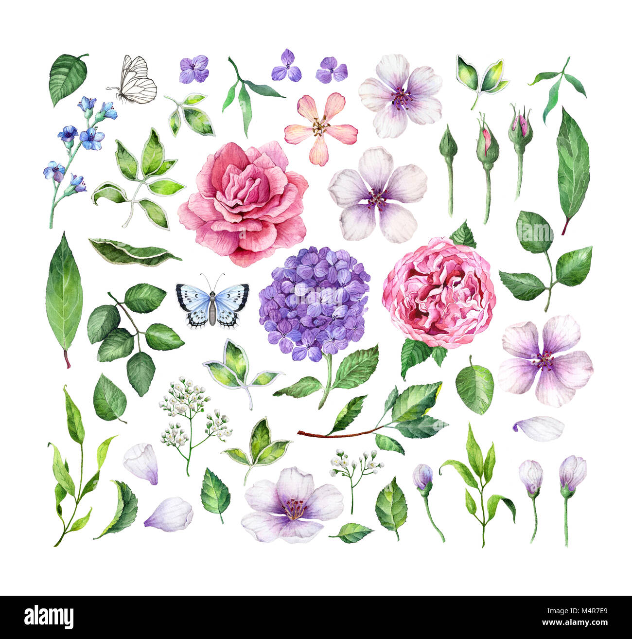 Große Blumen (Rosen, Hortensien, apple tree Blumen), Blätter, Blüten und Schmetterlinge auf weißem Hintergrund. Kunst aquarell Abbildung Stockfotografie