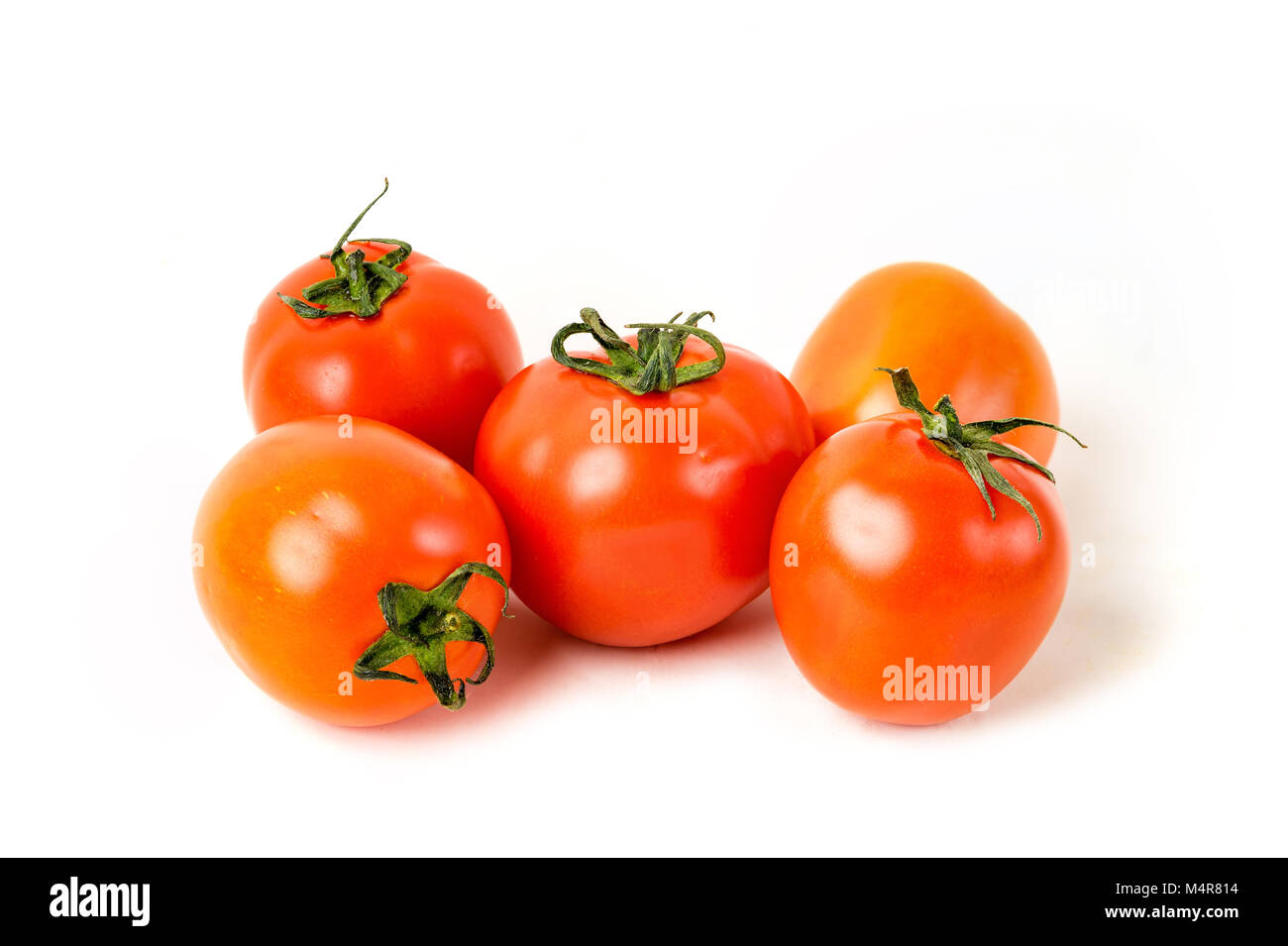 Rote Bio-Tomaten Stockfoto