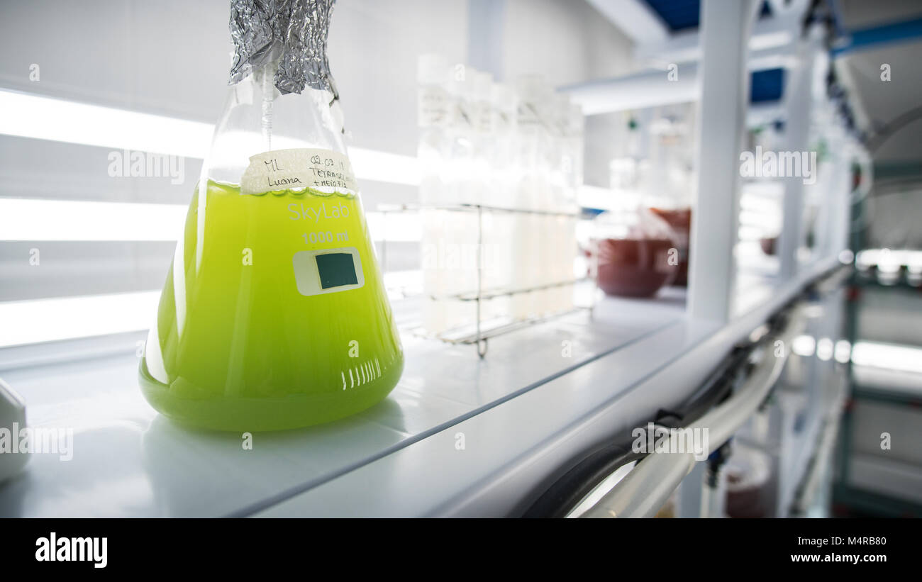 Labor bunte Flüssigkeiten und Chemikalien Stockfoto