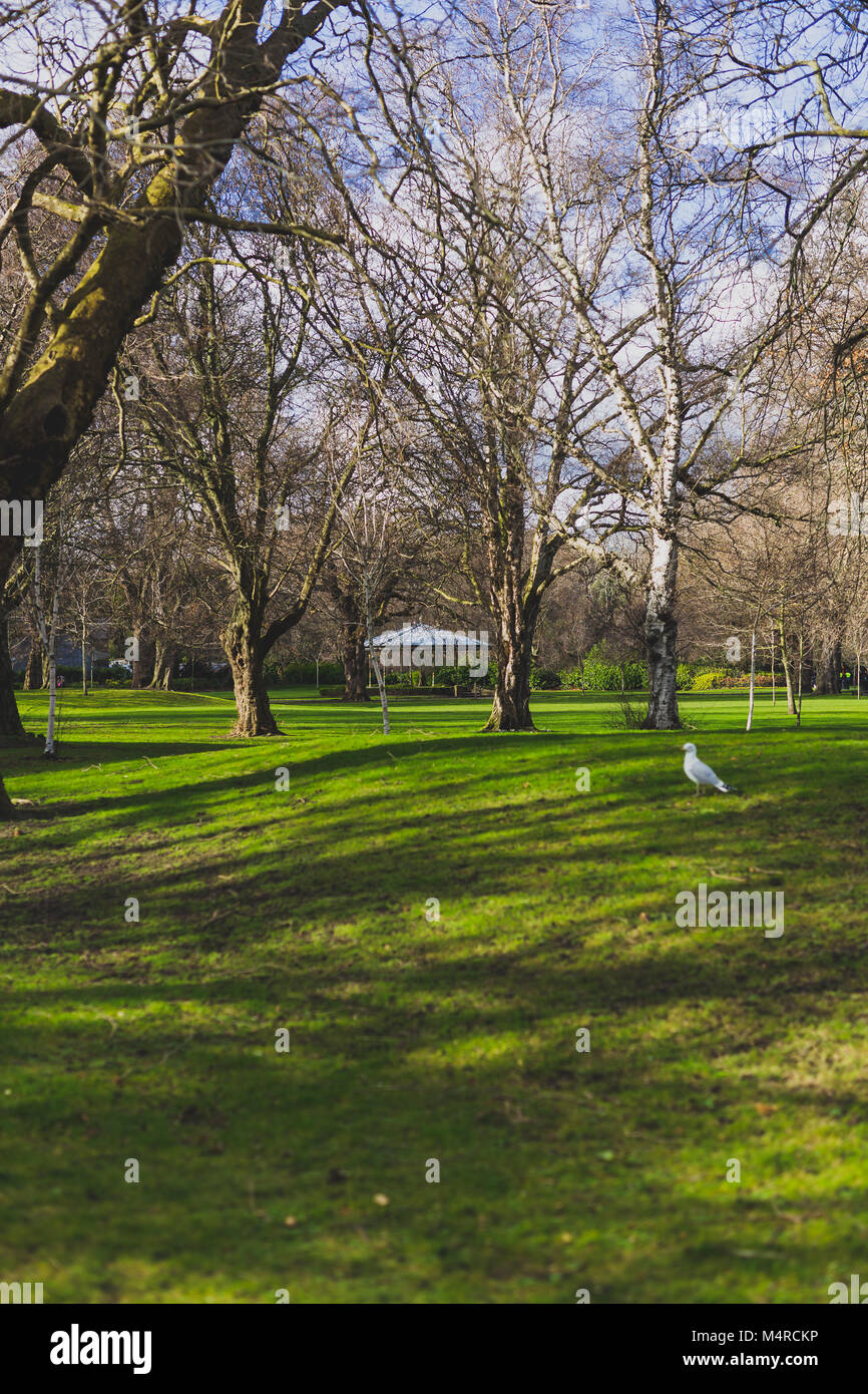 DUBLIN, Irland - 17 Februar, 2018: detail St. Stephen's Green Park im Stadtzentrum von Dublin, mit der Musikpavillon Stockfoto