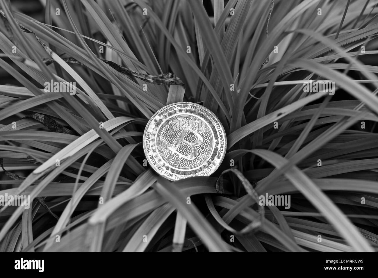 Digitale Währung physisches Metall bitcoin Münze. Cryptocurrency outdoor Konzept. Stockfoto