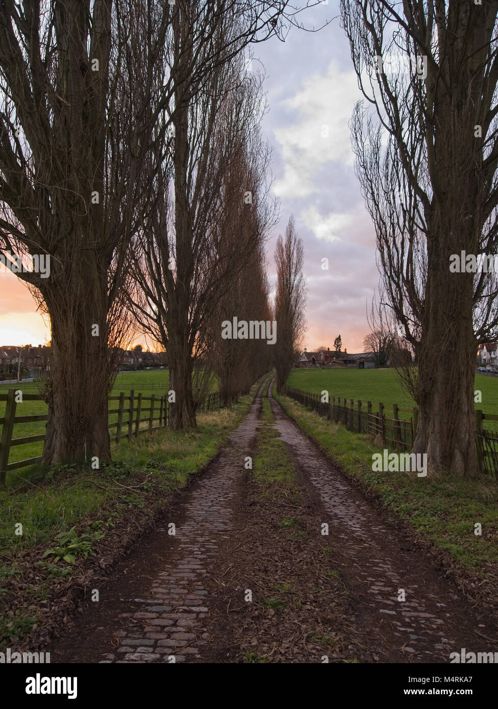 Langer Weg in die friedliche Landschaft bei Sonnenuntergang Stockfoto
