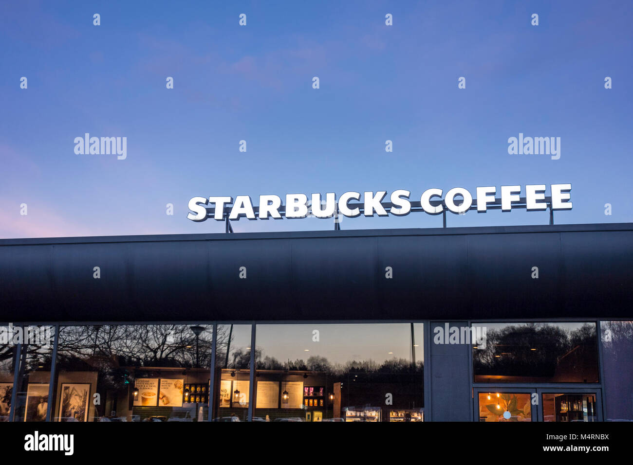 Beleuchtete Starbucks Kaffee Zeichen außerhalb der Shop im Abend, Großbritannien Stockfoto