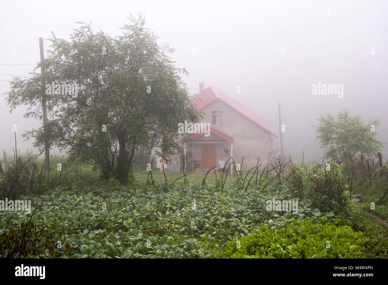 Dorfhaus mit Garten im Schwarzen Meer Tal, Türkei Stockfoto