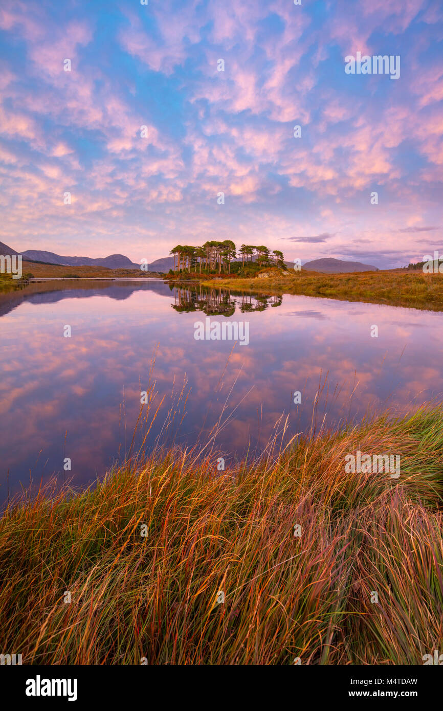 Sonnenuntergang Reflexionen im Derryclare Lough, Connemara, County Galway, Irland. Stockfoto
