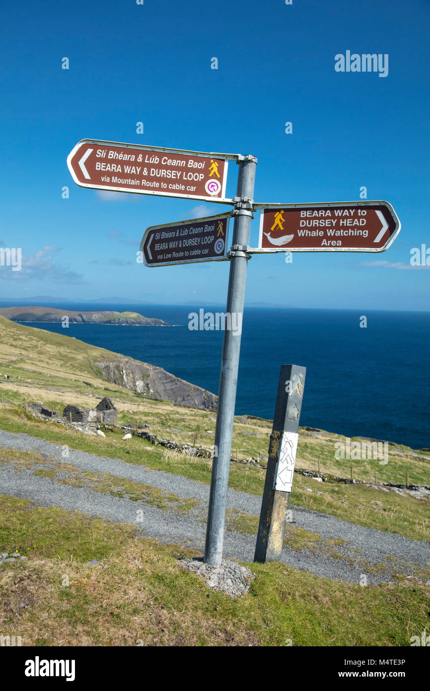 Wandern Wegweiser auf dursey Island, Beara Halbinsel, County Cork, Irland. Stockfoto