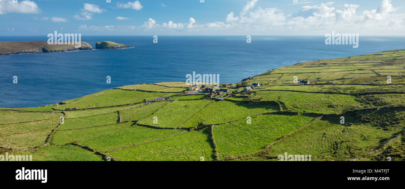 Grüne Felder umgeben die Weiler Ballynacallagh, dursey Island, Beara Halbinsel, County Cork, Irland. Stockfoto