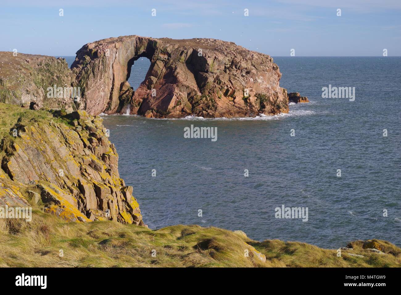 Der Bogen des Dunbuy, natürliche Meer Bogen durch eine rosa Granit Insel entlang der rauen Nordsee Klippen von Buchan, Cruden Bay, Aberdeenshire, Schottland, Großbritannien Stockfoto