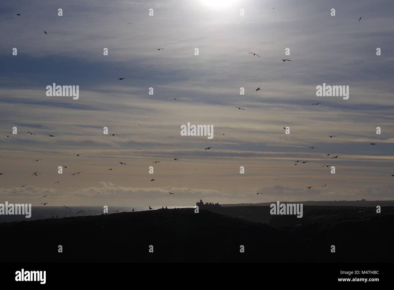 Neue Slains Burgruine Silhouette auf der schroffen Granitklippen mit Blick auf die Nordsee. Cruden Bay, Aberdeenshire, Schottland, Großbritannien. Februar, 2018. Stockfoto