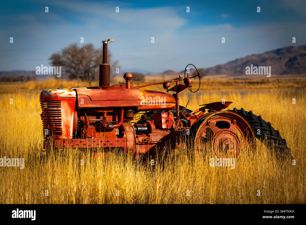 Utah alten, verlassenen Farmall Traktor Stockfoto