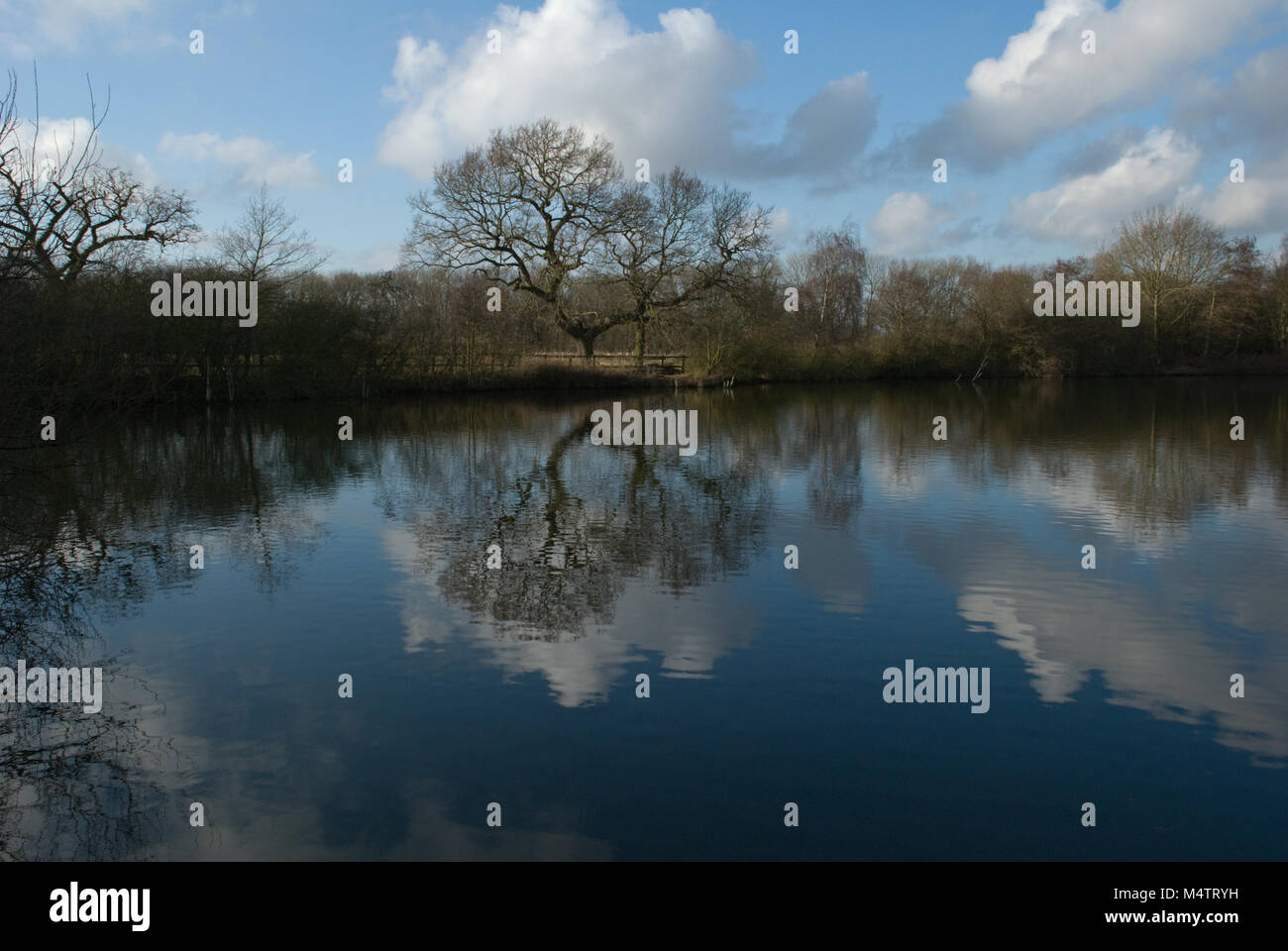 Eastrington Teiche, East Yorkshire, einem Naturschutzgebiet im Jahr 2002 in Anerkennung seiner Tierwelt Wert bezeichnet. Foto Februar 2018 Stockfoto