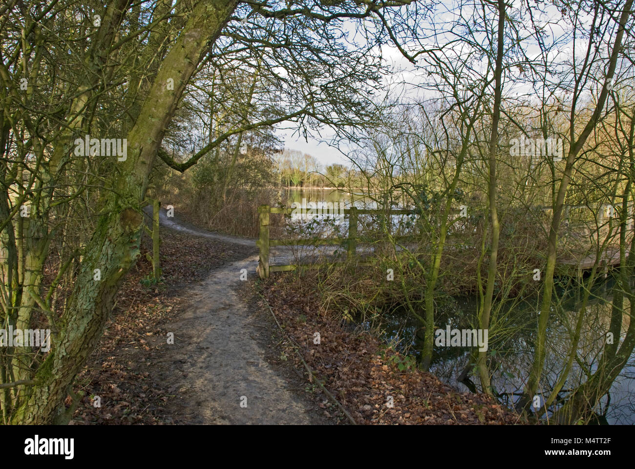 Eastrington Teiche, East Yorkshire, einem Naturschutzgebiet im Jahr 2002 in Anerkennung seiner Tierwelt Wert bezeichnet. Foto Februar 2018 Stockfoto