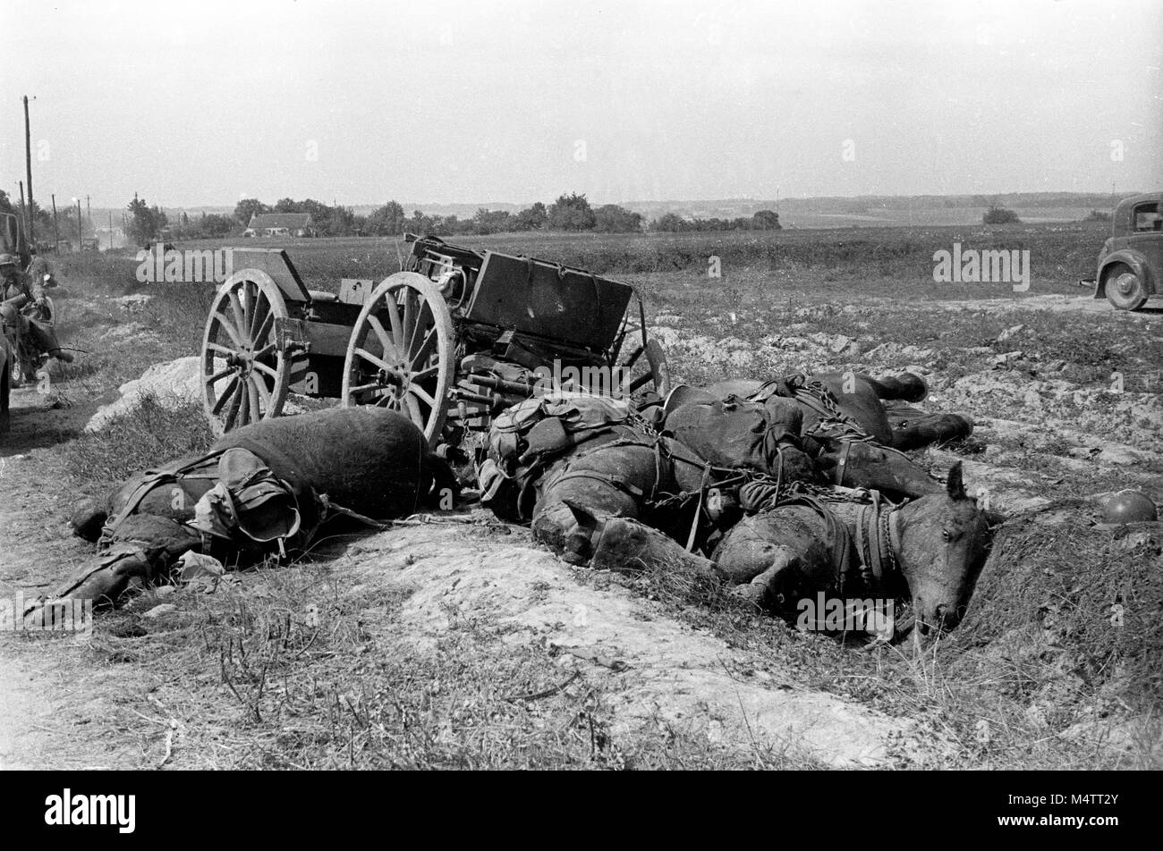 Vier tote Pferde mit einem französischen Soldaten liegen oben auf Ihnen in der Yonne Frankreich als die deutschen Truppen während des Zweiten Weltkriegs 1940 eindringen Stockfoto