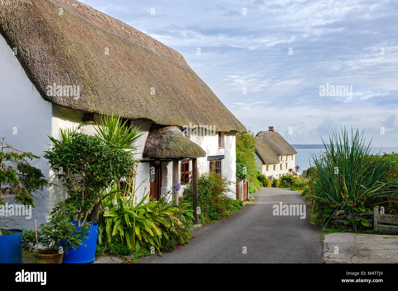 Reetgedeckte Cottages in der Nähe von Church Cove auf der Lizard Halbinsel in Cornwall, England, Großbritannien, Großbritannien. Stockfoto