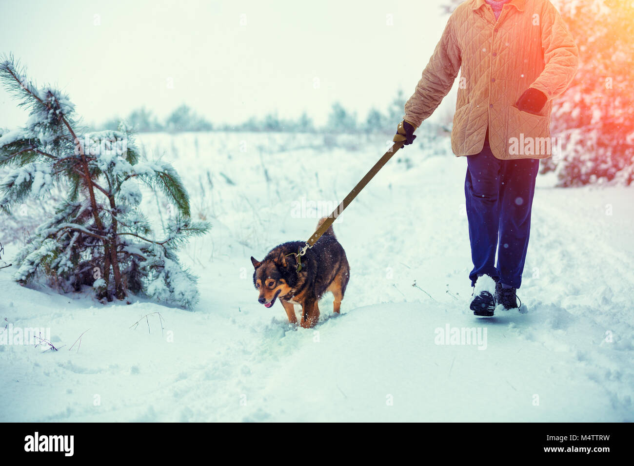 Mann mit Hund an der Leine gehen auf verschneiten Land Straße im Winter Stockfoto