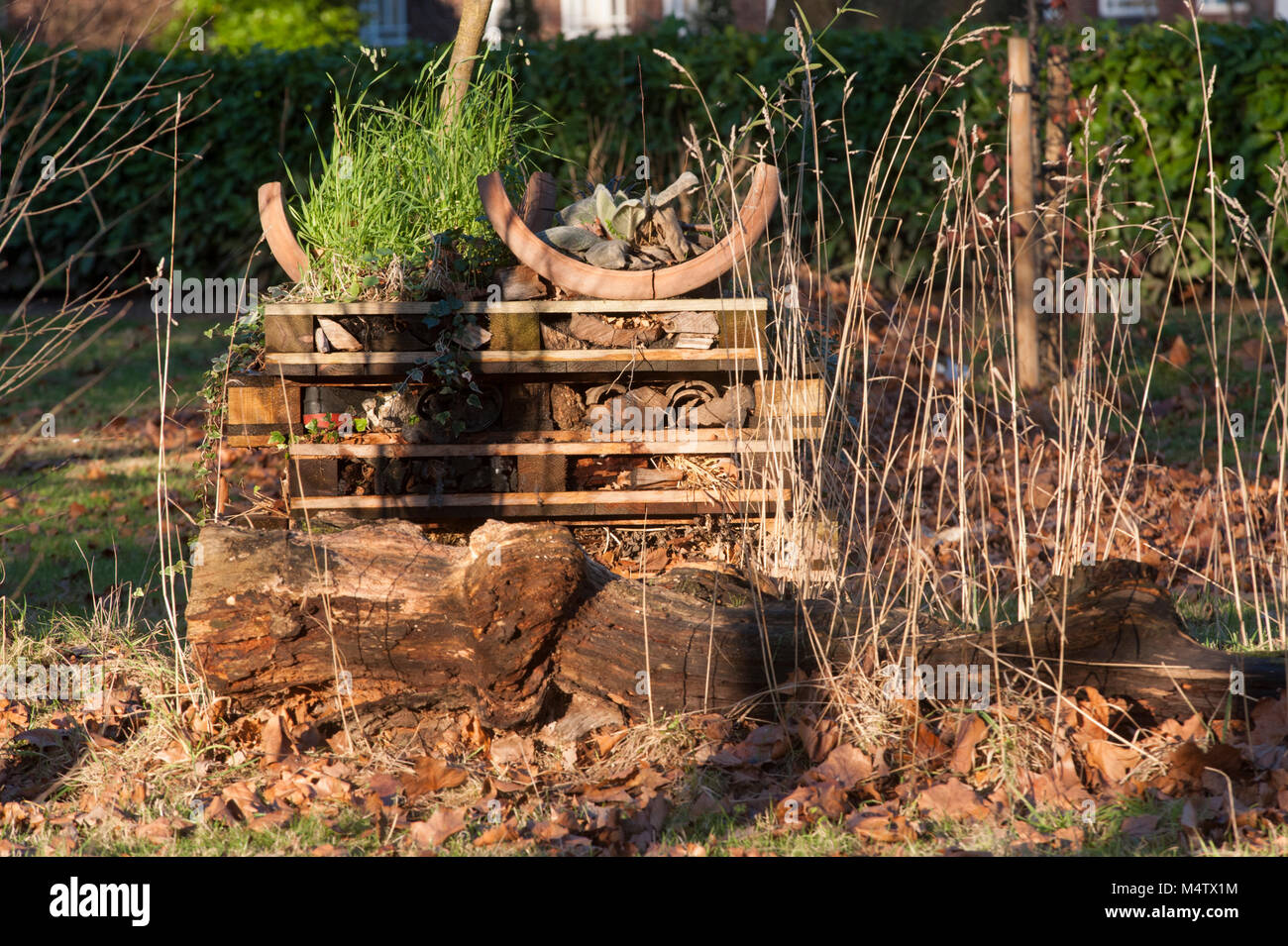 Man-made Wildlife mit Paletten stapeln, manchmal auch ein Bug oder Insekt hotel und bietet Lebensraum für Wirbellose, Regents Park, London, Vereinigtes Königreich Stockfoto