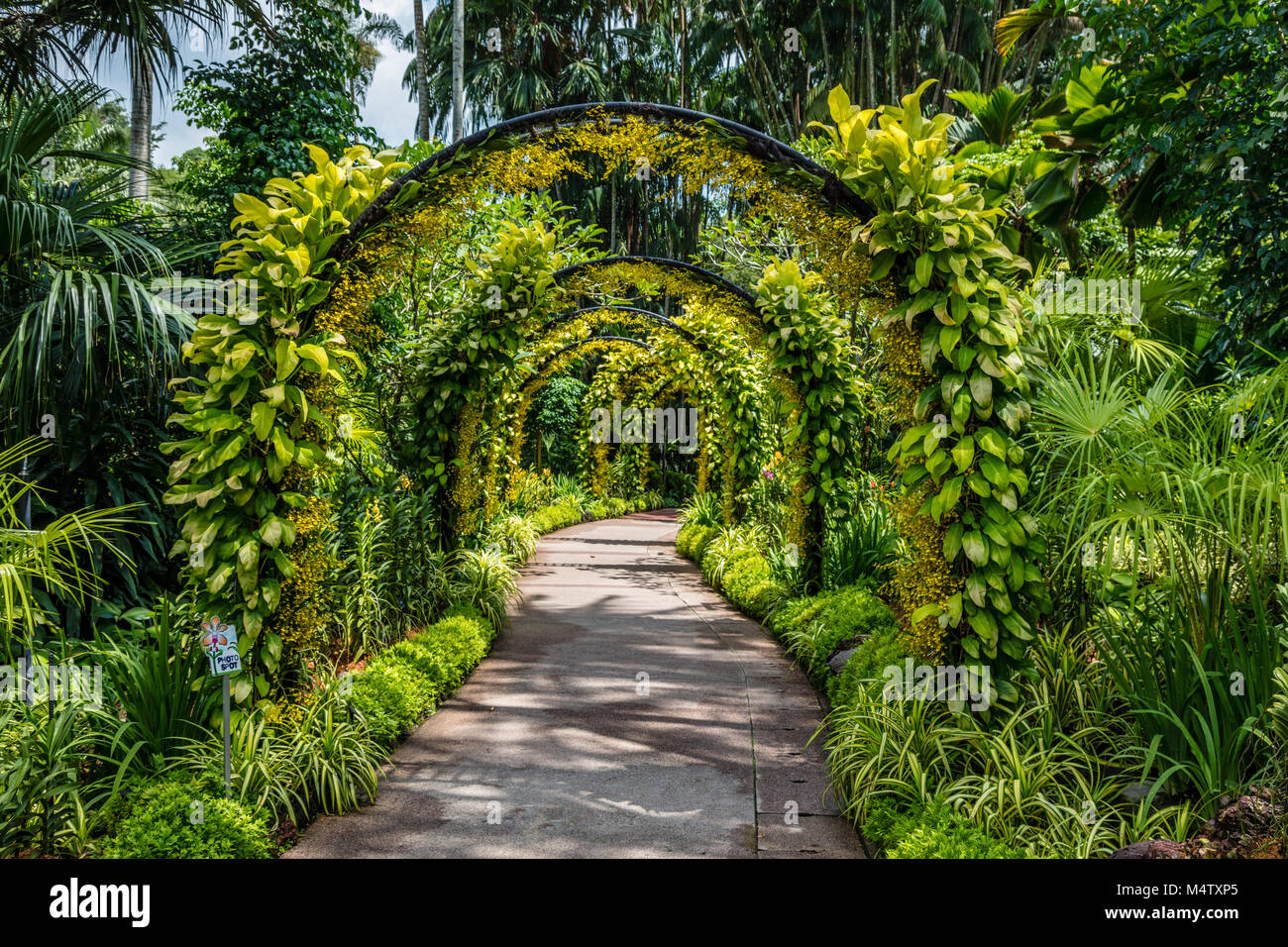 Blume Torbogen in Singapur Botanischen Gärten, Republik Singapur Stockfoto
