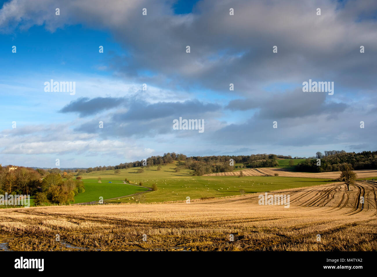 Landschaft von Dorset im Winter Stockfoto