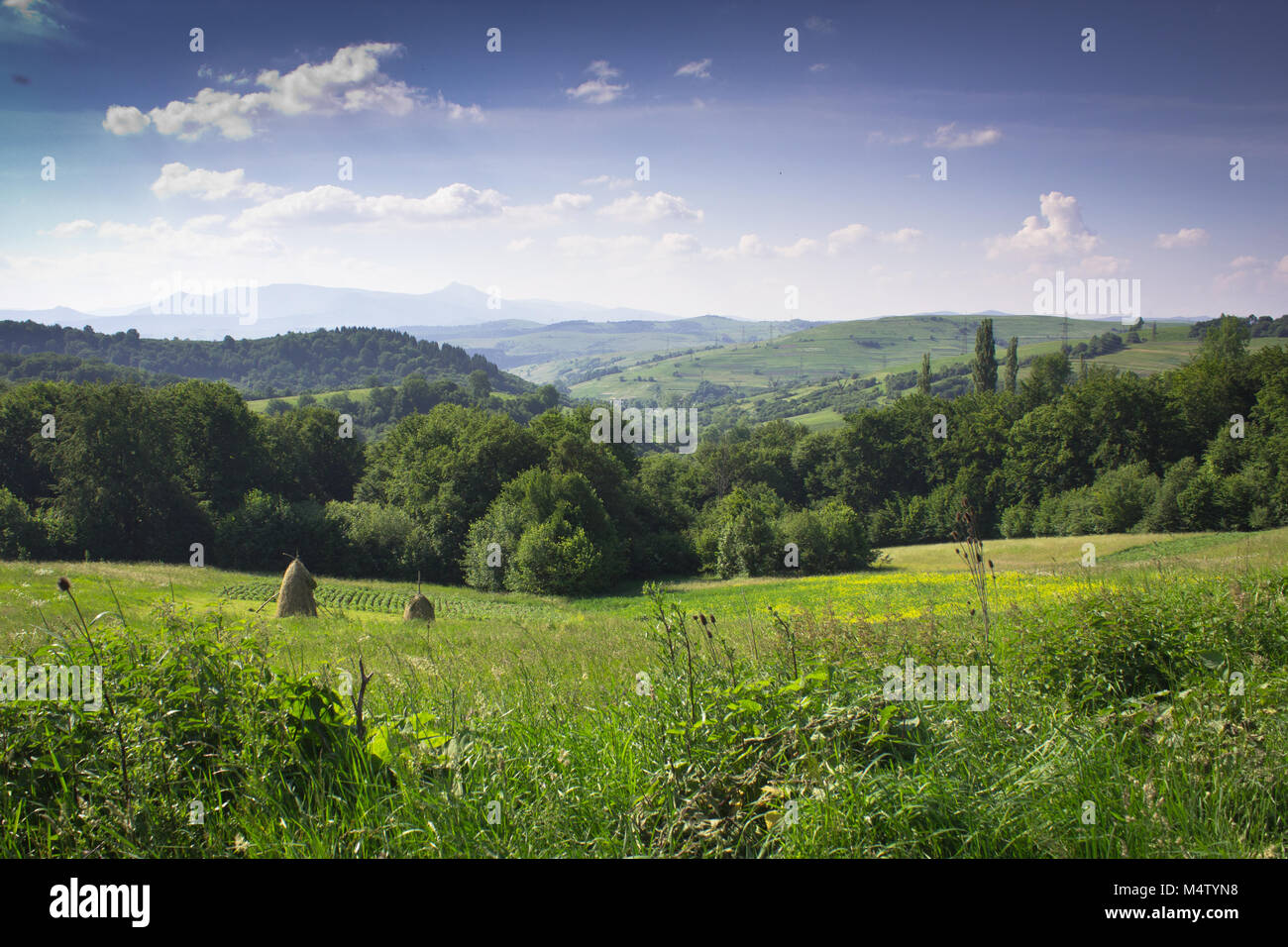 Eine typische Szene aus dem ländlichen Leben der westlichen Region der Ukraine - einen Garten am Hang der Waldfläche Stockfoto