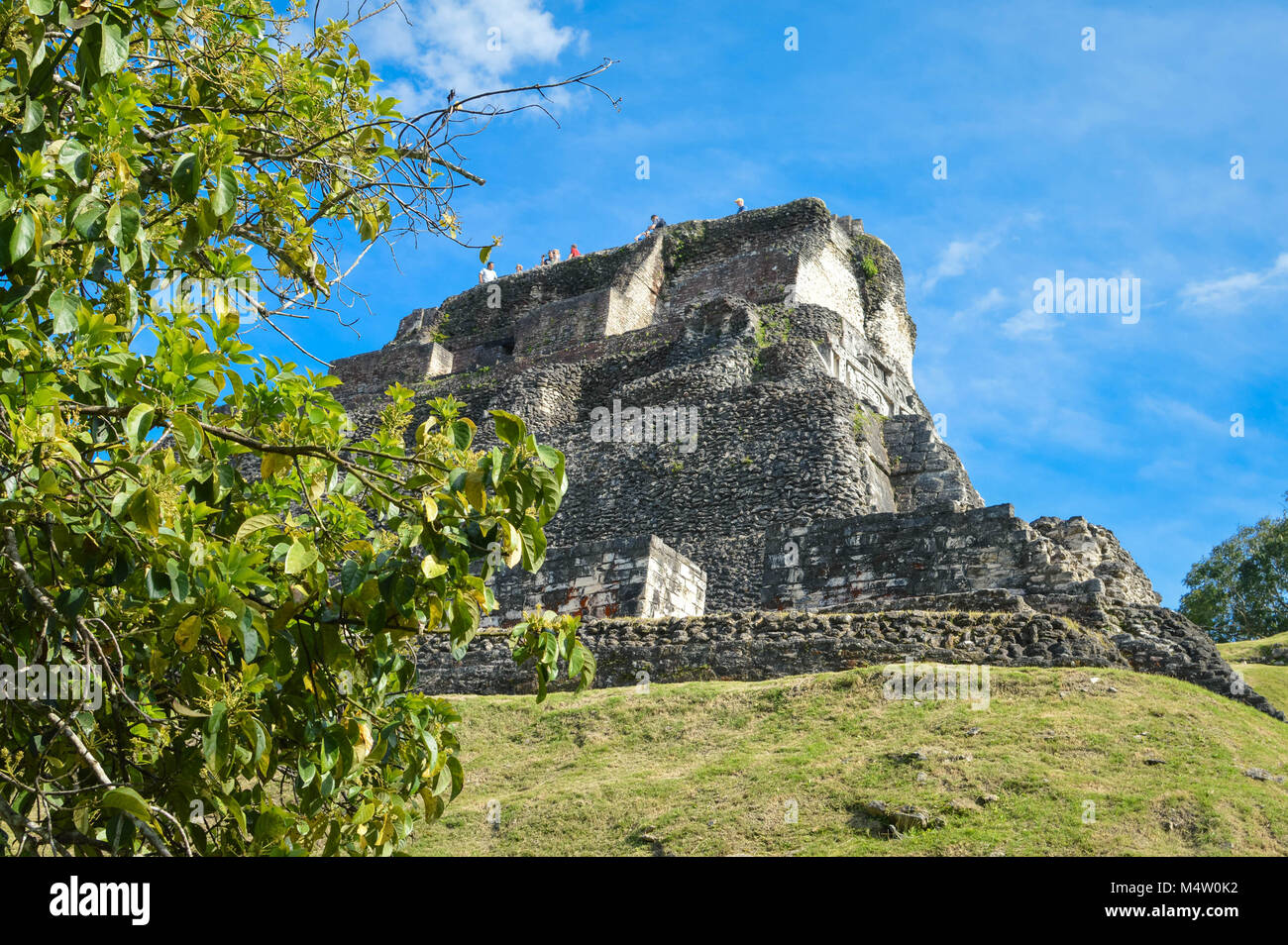Die Pyramide El Castillo an Xunantunich archäologische Stätte der Maya Zivilisation in westlichen Belize. Mittelamerika Stockfoto