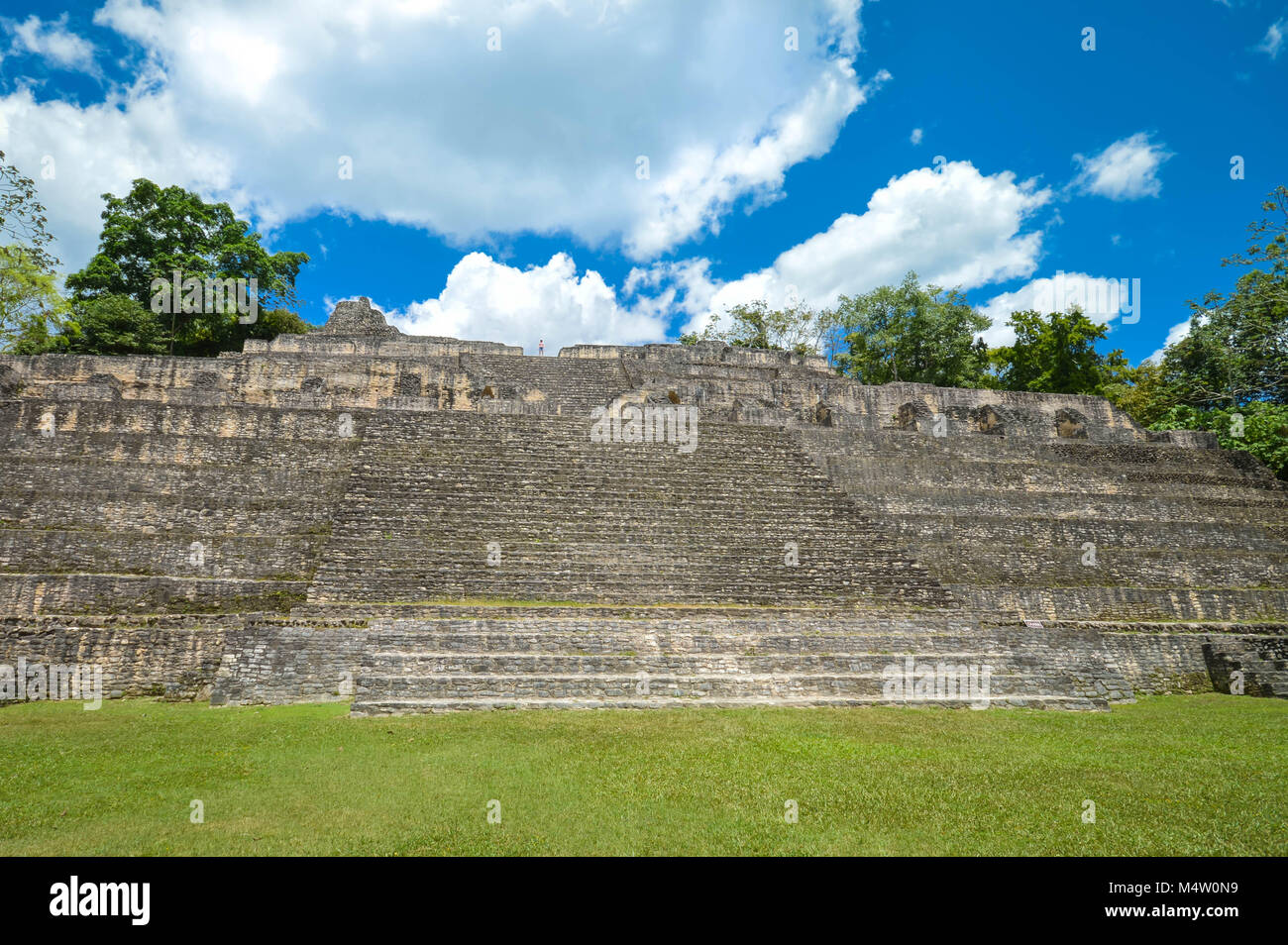 Nahaufnahme der Caana Pyramide die Caracol archäologische Stätte der Maya Zivilisation in Belize. Mittelamerika Stockfoto