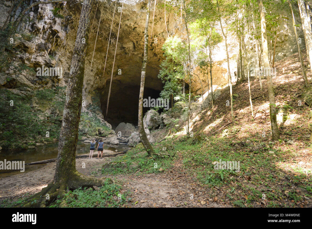 Landschaft mit dem Rio Frio Höhle in den abgelegenen und schwer Mountain Pine Ridge Forest Reserve in Belize zu erreichen. Mittelamerika Stockfoto