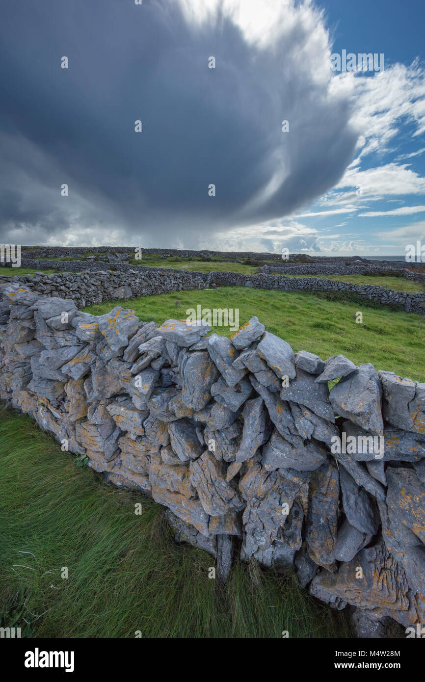 Steinmauern und Felder auf Inishmore, Aran Islands, County Galway, Irland. Stockfoto