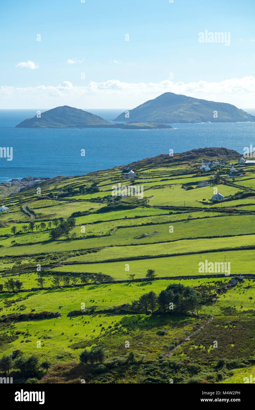 Scarriff und Deenish Inseln über grüne Felder, Caherdaniel, County Kerry, Irland. Stockfoto
