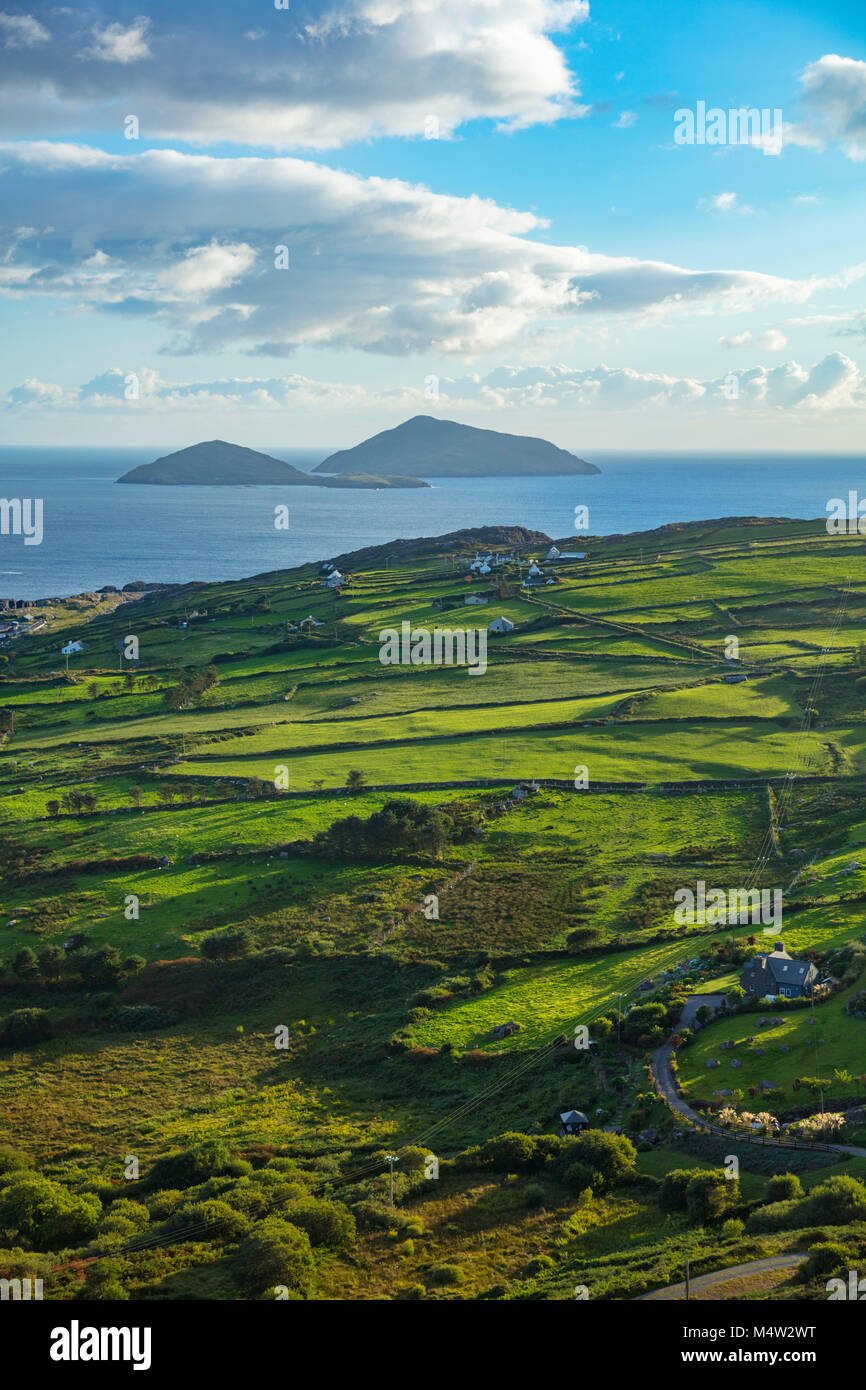 Grüne Felder und die Küste in der Nähe von Caherdaniel, County Kerry, Irland. Stockfoto