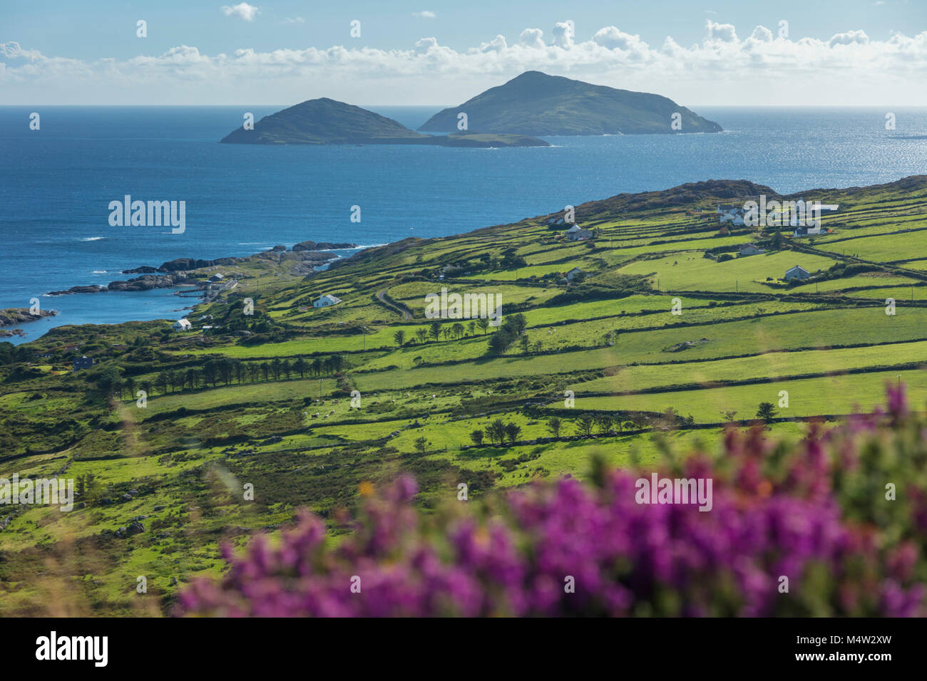 Scarriff und Deenish Inseln über grüne Felder und Heidekraut. Caherdaniel, County Kerry, Irland. Stockfoto