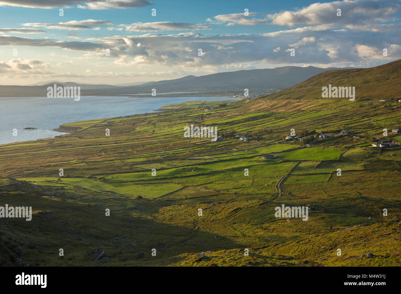 Grüne Felder neben Ballinskelligs Bay, County Kerry, Irland. Stockfoto