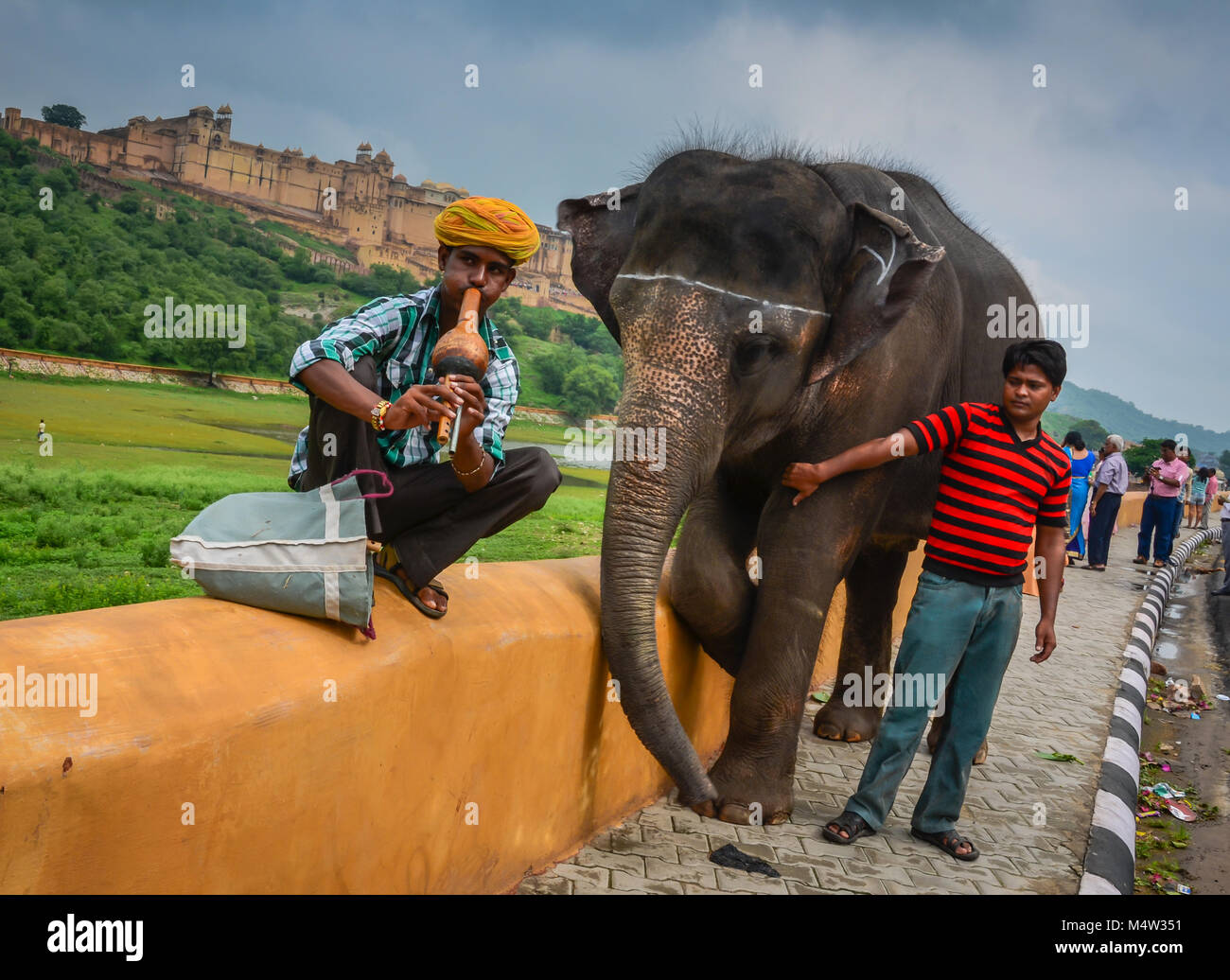 Indische Schlangenbeschwörer spielt Flöte - wie Kürbis Instrument ein pungi oder neben Elefanten in Jaipur, Indien, Asien, genannt. Stockfoto
