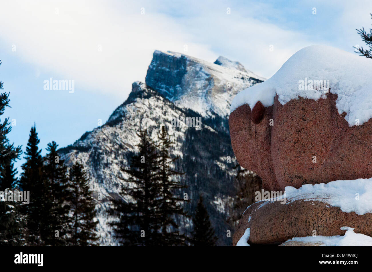 Sleeping Buffalo, Central Park, Banff, Alberta, Kanada, Berge im Hintergrund, Schnee, Winter Wonderland Stockfoto