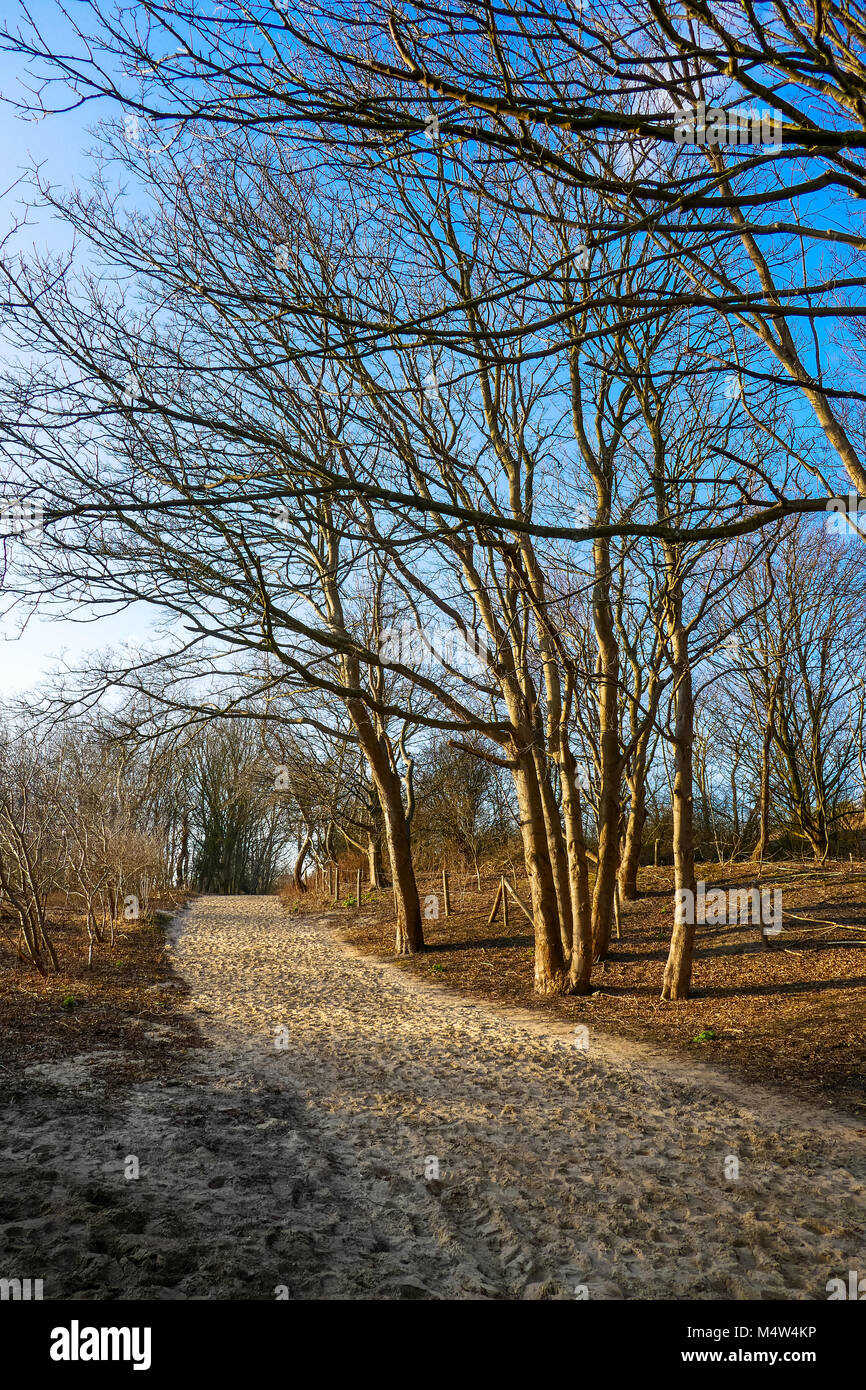 Sandigen weg an den Dünen von Den Haag, Holland Stockfoto