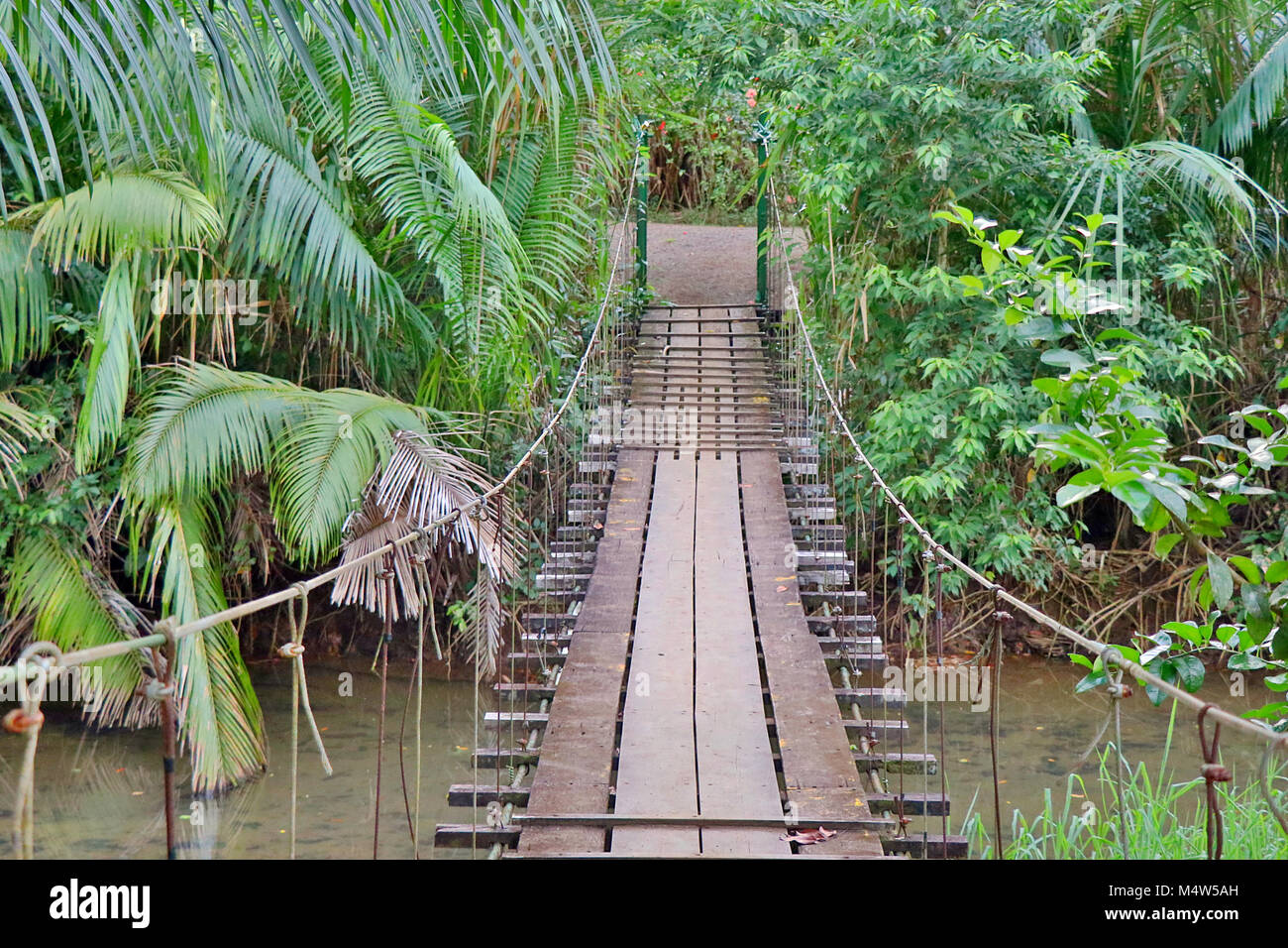 Wackelige hölzerne Brücke über einen Fluss in der Drake Bay auf der Halbinsel Osa im Süden von Costa Rica. Stockfoto