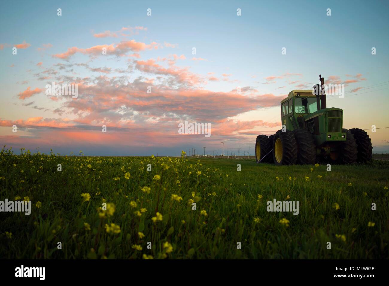 Ein Traktor sitzt in einem Feld bei Sonnenuntergang ausserhalb des Waldes, CA. Stockfoto