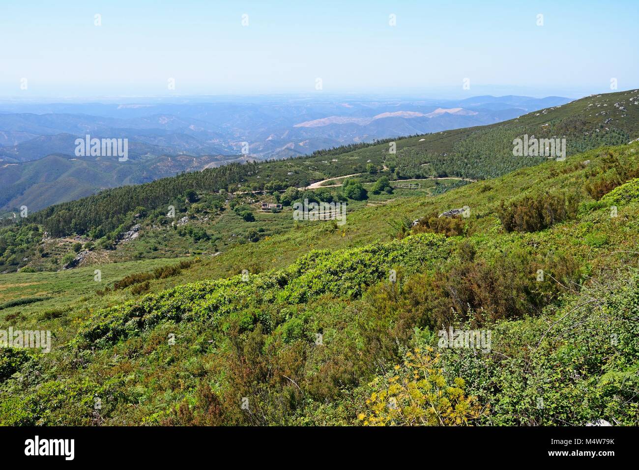 Erhöhte Sicht auf die Berge und die Landschaft in die Berge von Monchique, Algarve, Portugal, Europa. Stockfoto