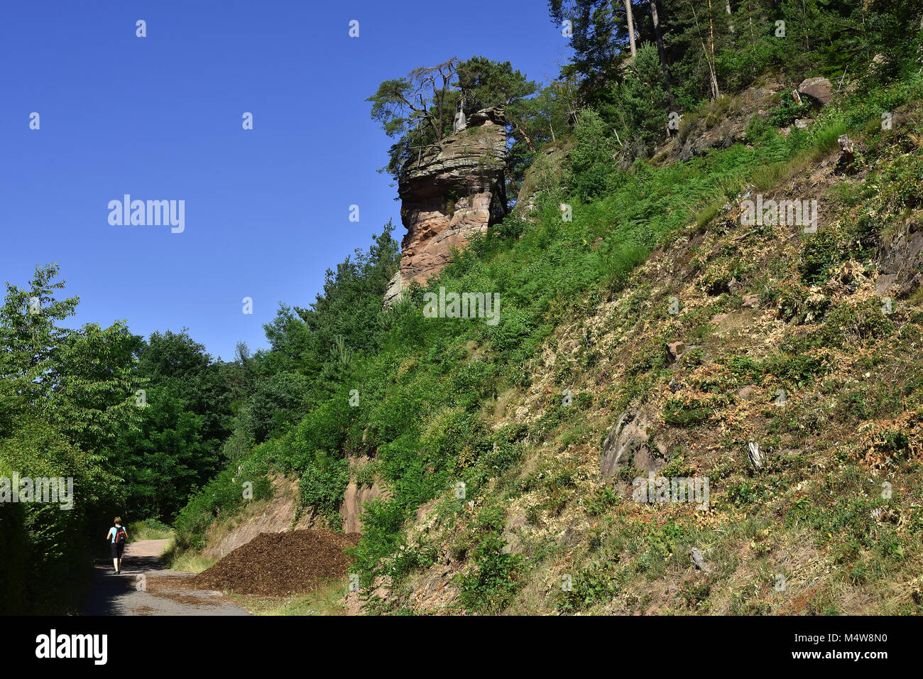 Pfälzer Wald in Rheinland-pfalz/Deutschland; Neue rote Sandstein Stockfoto