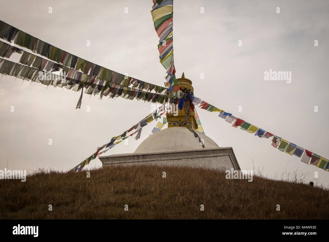 Budist Stupa in Kathmandu (Nepal) Stockfoto